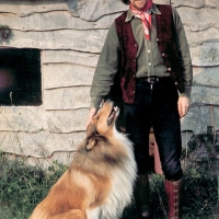 Fairport Convention: Ashley Hutchings at Farley Chamberlayne 1969