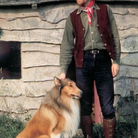 Fairport Convention: Ashley Hutchings at Farley Chamberlayne 1969