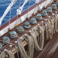 Royal Clipper